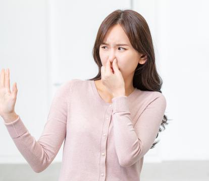 홍싹클린